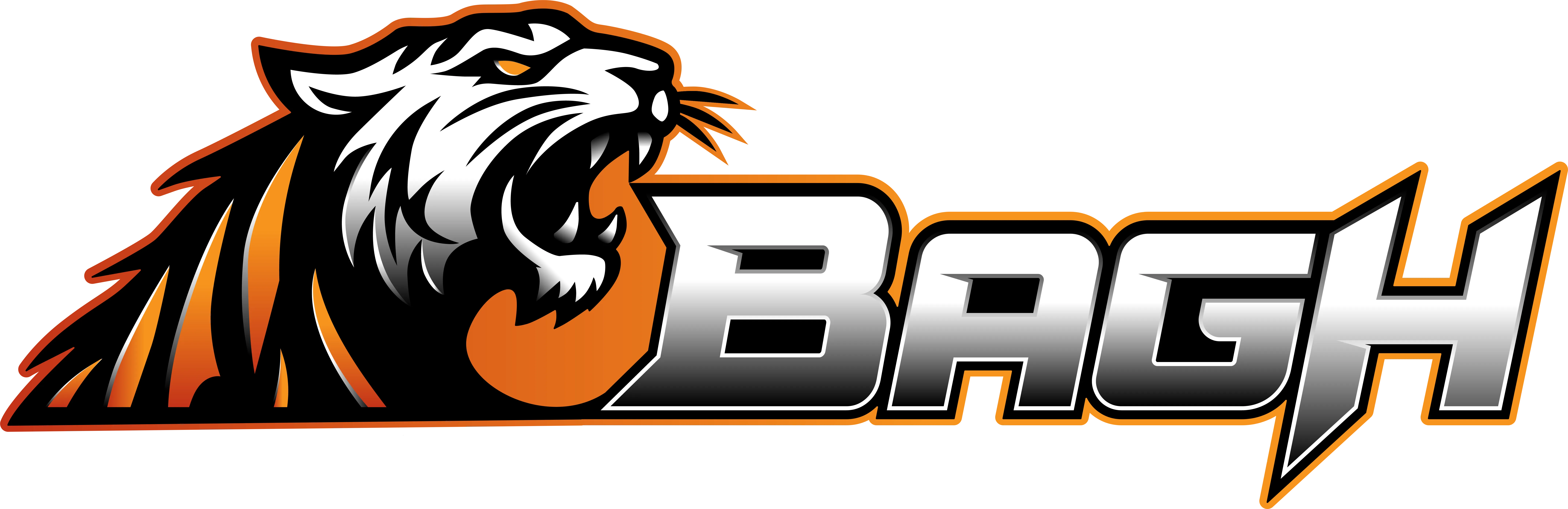 bagh